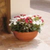 Euro 3 Plast Pflanzschale Olimpo Terra -Die grüne Ecke 3210100223 Pflanzschale Olimpo terra 60cm Erdvol 38Ltr 34297