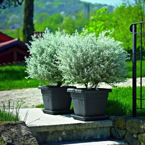 Euro 3 Plast Pflanzkübel Krea Quadro Anthrazit -Die grüne Ecke 3210101942 Pflanzkuebel Krea Quadro anthrazit 40cm Erdvol 24Ltr 34334