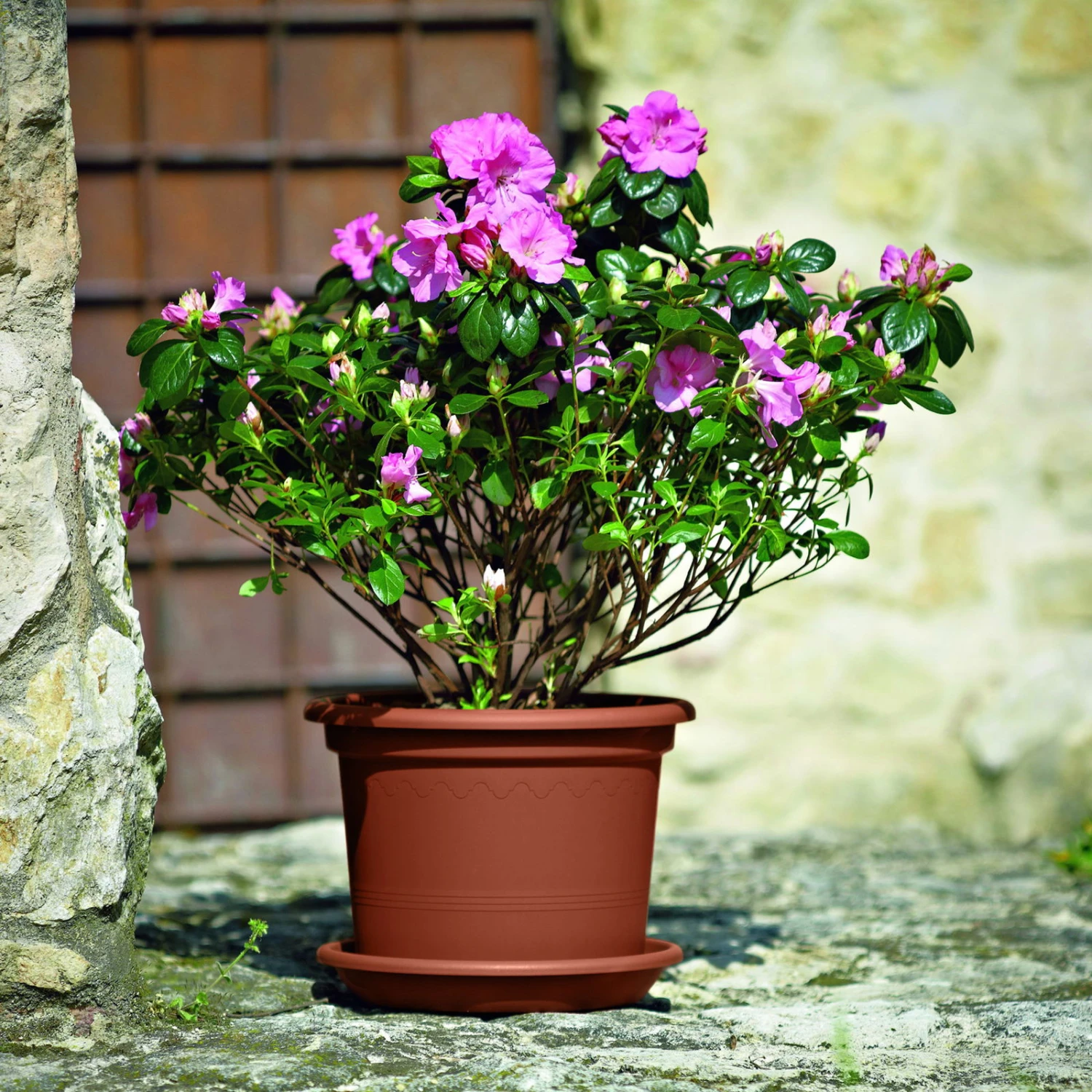 Euro 3 Plast Pflanzkübel Geo Terra 3 Euro 3 Plast Pflanzkübel Geo Terra