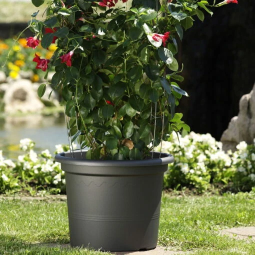 Euro 3 Plast Pflanzkübel Geo Anthrazit -Die grüne Ecke 3210102039 Pflanzkuebel Geo anthrazit 50cm Erdvol 45 3Ltr 34188