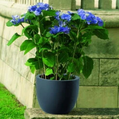 Euro 3 Plast Pflanzkübel Etria Perlschwarz