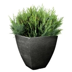 Pflanzgefäß "Luis" Anthrazit, In Rillenoptik, 40x40x42 Cm, Füllvol. 40 L 5 Pflanzgefäß "Luis" Anthrazit, In Rillenoptik, 40x40x42 Cm, Füllvol. 40 L -Die grüne Ecke 3210103166 Koelle Pflanzgefaess Rillenoptik Luis quad anthrazit 63451