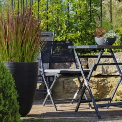 Japanisches Blutgras 'Red Baron', Blattspitzen In Rot, Topf -Ø 19 Cm -Die grüne Ecke 3210103443 Pflanzvase Rib Bella schwarz 111347