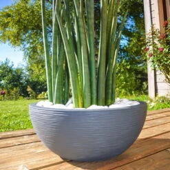 Pflanzschale Graphit Ella Anthrazit -Die grüne Ecke 3210103482 Pflanzschale Graphit Ella anthrazit 40x16 5cm 14 9l 01 48317