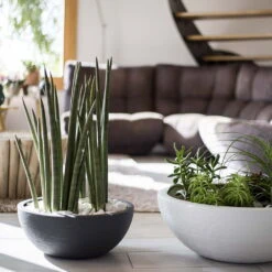 Pflanzschale Graphit Ella Anthrazit -Die grüne Ecke 3210103482 Pflanzschale Graphit Ella anthrazit 40x16 5cm 14 9l 04 48314