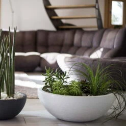 Pflanzschale Graphit Ella Anthrazit 7 Pflanzschale Graphit Ella Anthrazit -Die grüne Ecke 3210103483 Pflanzschale Graphit Ella anthrazit 59x21cm 39l 02 48311