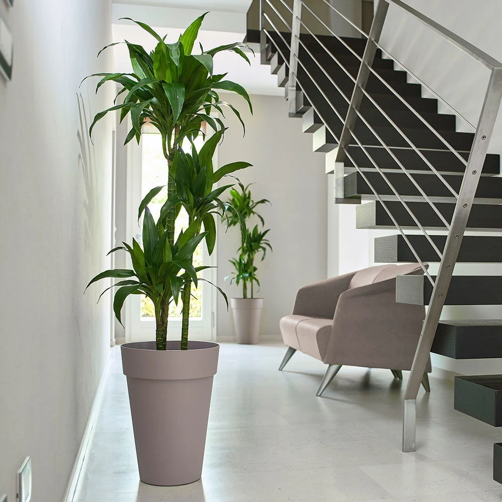 Pflanzkübel Liken Taupe 3 Pflanzkübel Liken Taupe