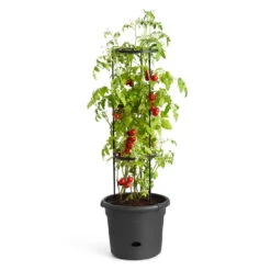 Tomatentopf „Green Basics“ In Living Black Von Elho, Maße D 33 X H 25, 13 Liter