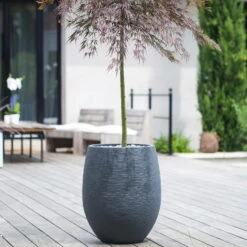 Pflanzgefäß Graphit Egg, Anthrazit, Wasserdicht, Robust -Die grüne Ecke 3210103698 Pflanzgefaess Graphit Egg anthrazit D50xH60cm 53Ltr 1 62076