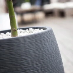 Pflanzgefäß Graphit Egg, Anthrazit, Wasserdicht, Robust -Die grüne Ecke 3210103698 Pflanzgefaess Graphit Egg anthrazit D50xH60cm 53Ltr 2 62075