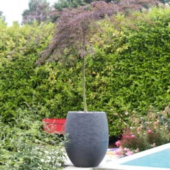 Pflanzgefäß Graphit Egg, Anthrazit, Wasserdicht, Robust -Die grüne Ecke 3210103698 Pflanzgefaess Graphit Egg anthrazit D50xH60cm 53Ltr 6 62072