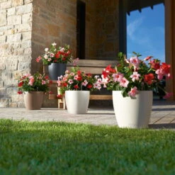 LECHUZA Pflanzgefäß 'Classico Color 70', Weiß, Ø 70 X H 64,5 Cm -Die grüne Ecke 3210103918 Pflanzgefaess Classico Color 60 All in 1 weiss 3 109195 1