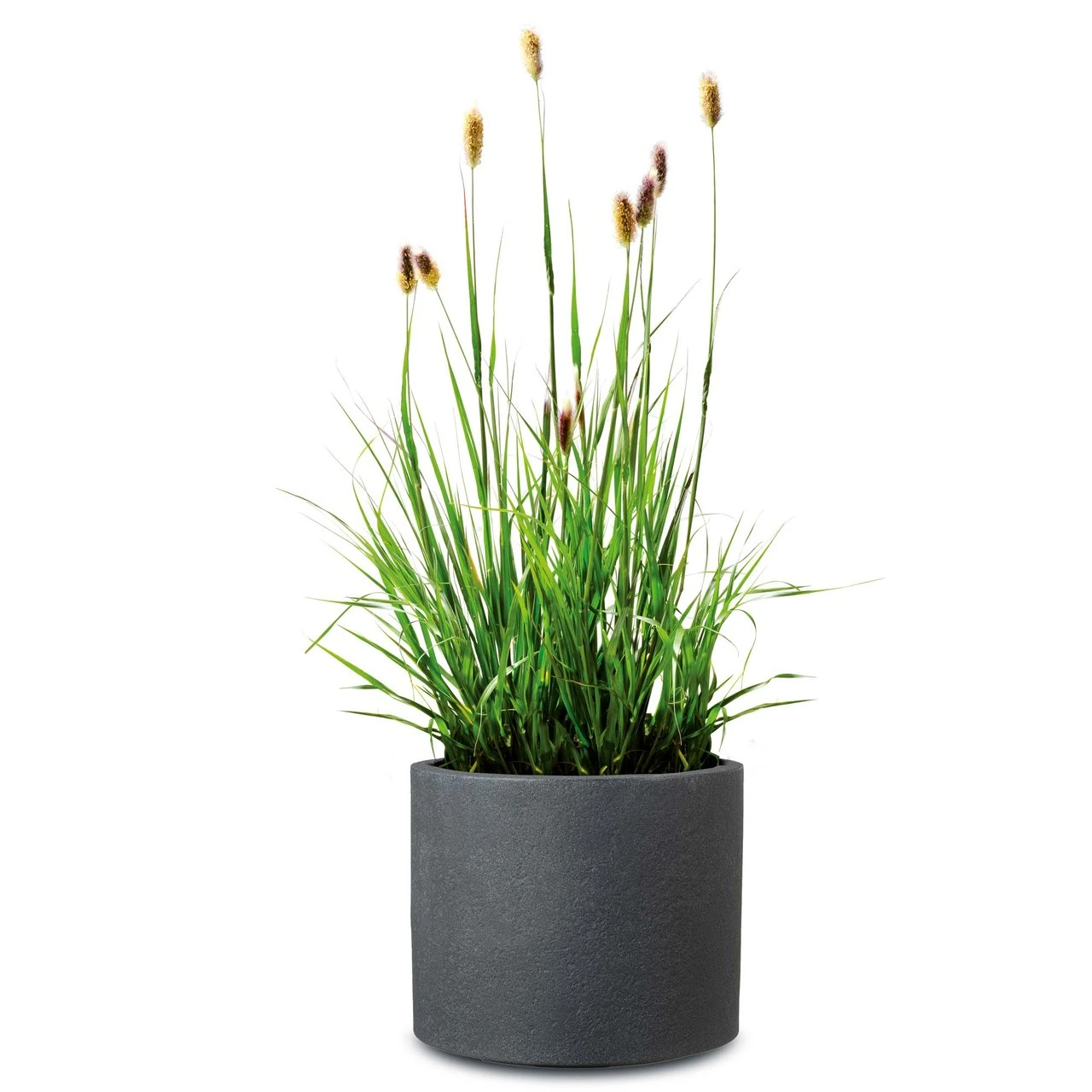 Pflanzgefäß 'Riva', Schwarz, Granit, Ø 29 X H 25 Cm 4 Pflanzgefäß 'Riva', Schwarz, Granit, Ø 29 X H 25 Cm – Bild 2