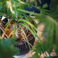 Pflanzgefäß 'Groove', Schwarz, Ø 35 X H 34 Cm 5 Pflanzgefäß 'Groove', Schwarz, Ø 35 X H 34 Cm -Die grüne Ecke 3210104102 3210104103 3210104104 pflanzgefaess pflanzvase groove 116890