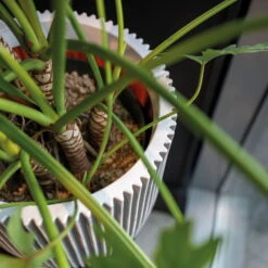 Pflanzgefäß 'Groove', Elfenbein, Ø 35 X H 34 Cm 7 Pflanzgefäß 'Groove', Elfenbein, Ø 35 X H 34 Cm -Die grüne Ecke 3210104106 3210104107 3210104108 pflanzgefaess pflanzvase groove 116896