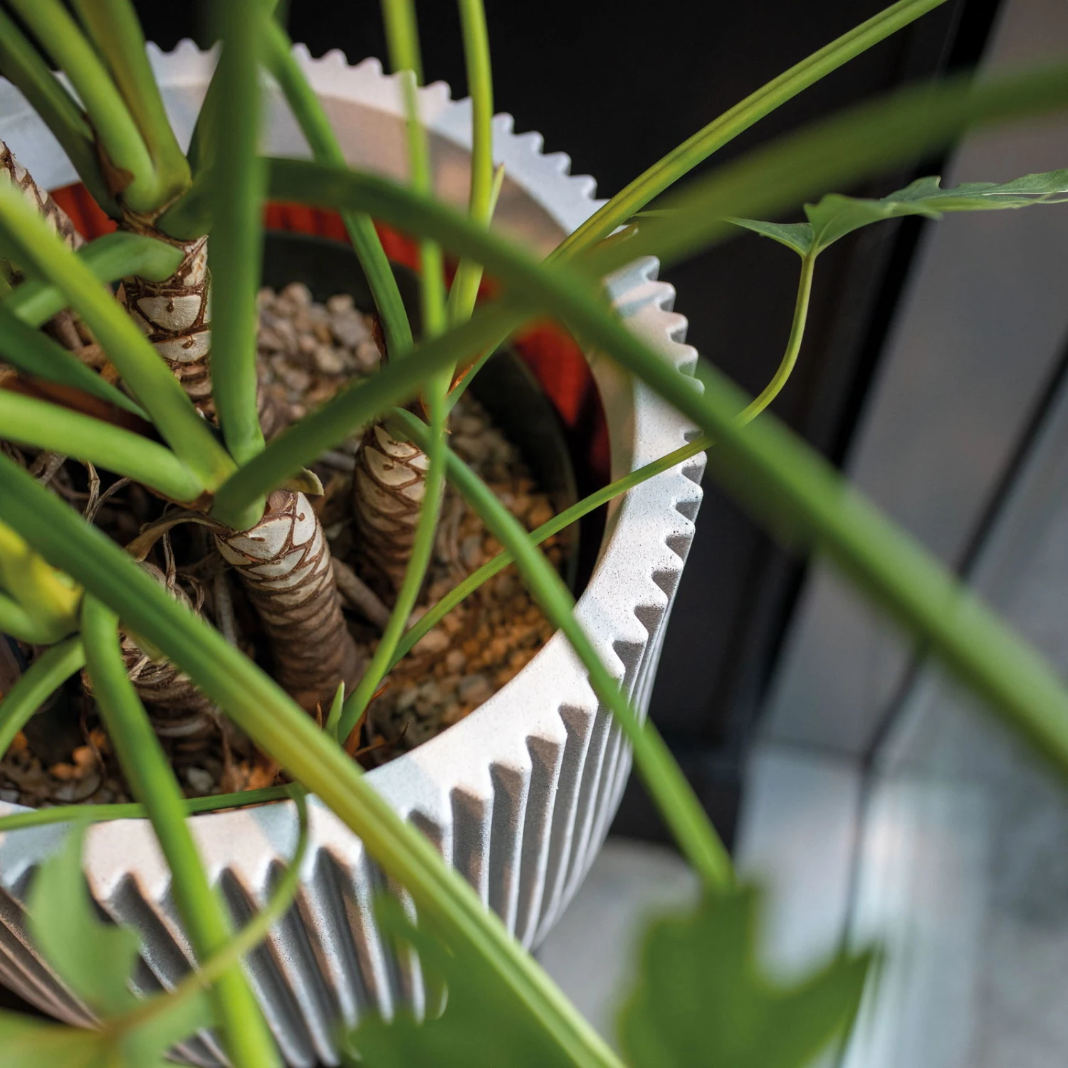 Pflanzgefäß 'Groove', Elfenbein, Ø 35 X H 34 Cm 5 Pflanzgefäß 'Groove', Elfenbein, Ø 35 X H 34 Cm – Bild 3