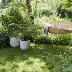 Pflanzgefäß 'Clay', Elfenbein 5 Pflanzgefäß 'Clay', Elfenbein -Die grüne Ecke 3210104118 3210104119 pflanzgefaess clay 116908 1