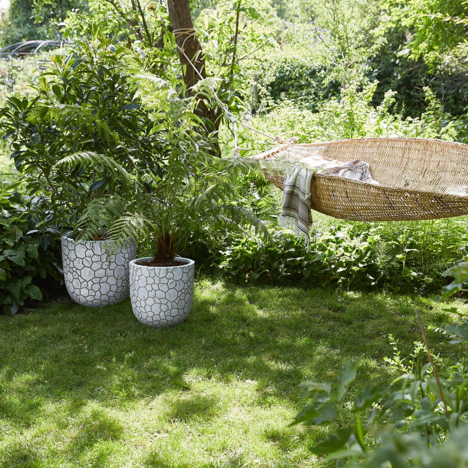 Pflanzgefäß 'Clay', Elfenbein 4 Pflanzgefäß 'Clay', Elfenbein – Bild 2