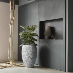 Pflanzvase 'Clay', Elfenbein 5 Pflanzvase 'Clay', Elfenbein -Die grüne Ecke 3210104121 pflanzvase clay 2 116913