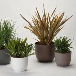 Pflanzkübel 'Rio', Weiß, Ø 39 X H 32,5 Cm -Die grüne Ecke 3210104130 3210104131 3210104132 3210104133 pflanzkuebel rio 122622 5