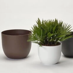 Pflanzkübel 'Rio', Rost, Ø 29 X H 24 Cm 7 Pflanzkübel 'Rio', Rost, Ø 29 X H 24 Cm -Die grüne Ecke 3210104130 3210104131 3210104132 pflanzkuebel rio 1 122626