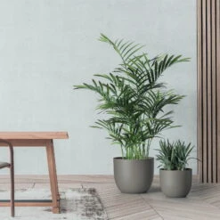 Pflanzkübel 'Rio', Taupe, Ø 34 X H 28 Cm -Die grüne Ecke 3210104133 pflanzkuebel rio 2 122629