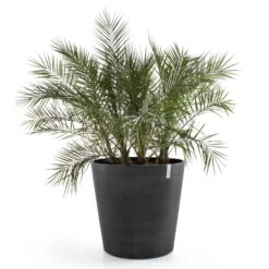 Pflanzgefäß 'Amsterdam', Dunkelgrau, Ø 60 X H 56 Cm -Die grüne Ecke 3210104144 pflanzgefaess amsterdam mit rollen 2 117450