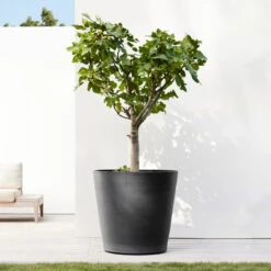 Pflanzgefäß 'Amsterdam', Dunkelgrau, Ø 60 X H 56 Cm -Die grüne Ecke 3210104144 pflanzgefaess amsterdam mit rollen 117500