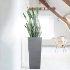 Pflanzgefäß 'Rotterdam MidHigh', Grau -Die grüne Ecke 3210104153 pflanzgefaess rotterdam high 1 117471