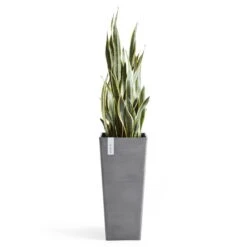 Pflanzgefäß 'Rotterdam MidHigh', Grau -Die grüne Ecke 3210104153 pflanzgefaess rotterdam high 3 117469