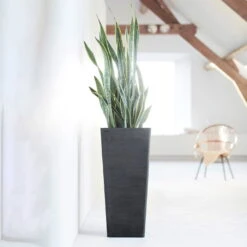 Pflanzgefäß 'Rotterdam MidHigh', Dunkelgrau 7 Pflanzgefäß 'Rotterdam MidHigh', Dunkelgrau -Die grüne Ecke 3210104155 pflanzgefaess rotterdam high 3 117475