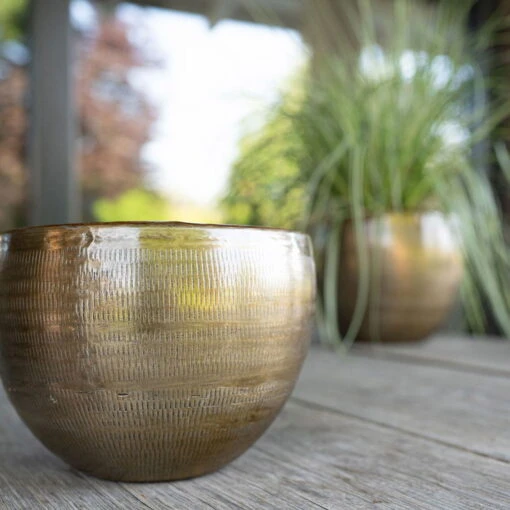 Pflanzgefäß 'Rowen', Gold, Ø 22 X H 17 Cm -Die grüne Ecke 3210801609 Pflanzgefaess Rowen gold D 22 x H 17 cm 4 114966