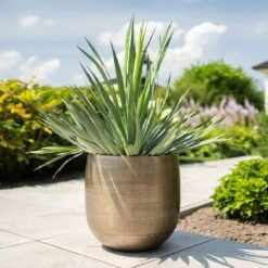 Pflanzgefäß 'Rowen', Gold, Ø 42 X H 41 Cm -Die grüne Ecke 3210801622 Pflanzgefaess Rowen gold D 42 x H 41 cm 1 114988