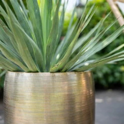 Pflanzgefäß 'Rowen', Gold, Ø 42 X H 41 Cm -Die grüne Ecke 3210801622 Pflanzgefaess Rowen gold D 42 x H 41 cm 2 114989