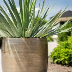 Pflanzgefäß 'Rowen', Gold, Ø 42 X H 41 Cm -Die grüne Ecke 3210801622 Pflanzgefaess Rowen gold D 42 x H 41 cm 4 114991