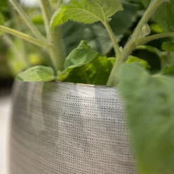 Pflanzgefäß 'Rowen', Silber, Ø 50 X H 47 Cm -Die grüne Ecke 3210801625 3210801626 3210801627 3210801628 Pflanzgefaess Rowen silber 9 115005 2