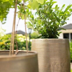 Pflanzgefäß 'Rowen', Gold, Ø 31 X H 55 Cm -Die grüne Ecke 3210801630 3210801631 3210801632 3210801633 Pflanzgefaess Rowen gold 2 115015 3