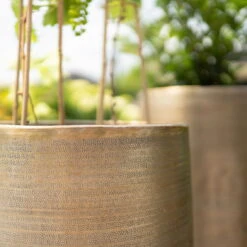 Pflanzgefäß 'Rowen', Gold, Ø 47 X H 82 Cm -Die grüne Ecke 3210801630 3210801631 3210801632 3210801633 Pflanzgefaess Rowen gold 3 115016