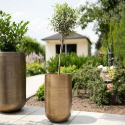 Pflanzgefäß 'Rowen', Gold, Ø 31 X H 55 Cm -Die grüne Ecke 3210801630 3210801631 3210801632 3210801633 Pflanzgefaess Rowen gold 4 115017 3