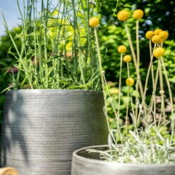 Pflanzgefäß 'Rowen', Silber, Ø 41 X H 72 Cm 16 Pflanzgefäß 'Rowen', Silber, Ø 41 X H 72 Cm -Die grüne Ecke 3210801635 3210801636 3210801637 3210801638 Pflanzgefaess Rowen silber 12 115029 1