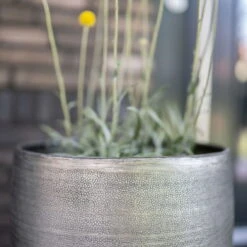 Pflanzgefäß 'Rowen', Silber, Ø 47 X H 82 Cm -Die grüne Ecke 3210801635 3210801636 3210801637 3210801638 Pflanzgefaess Rowen silber 7 115026 3