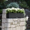 Lechuza Balconera Cottage, Granit -Die grüne Ecke 3230100595 Balconera Cottage80 79x19x19cm granit Pflanzvol 12Ltr 2 17879