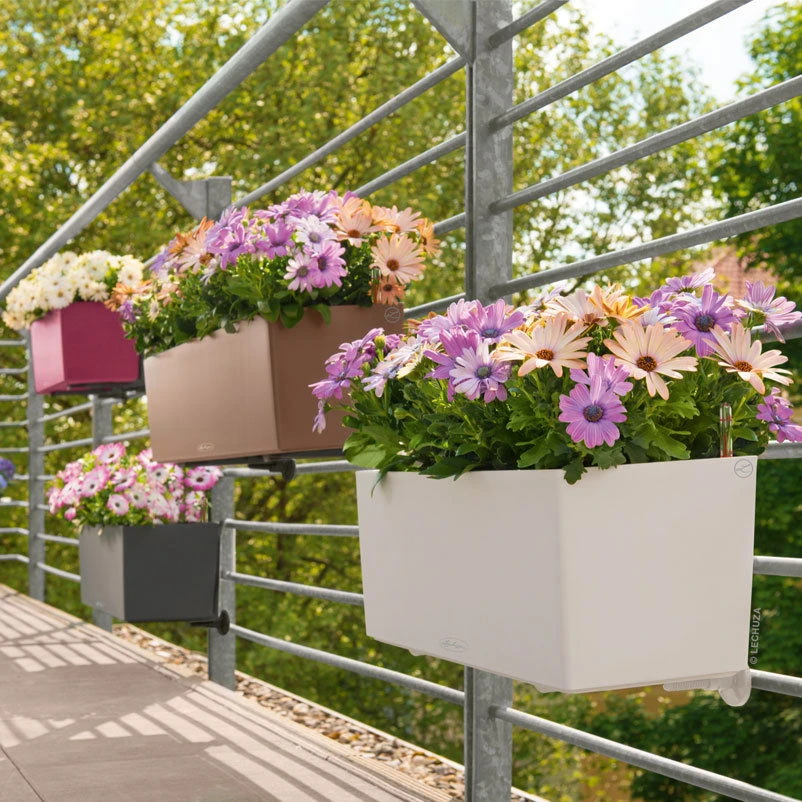 LECHUZA Balconera Color All-in-One-Set, Schiefergrau, 50 X 19 X 19 Cm – Bild 3