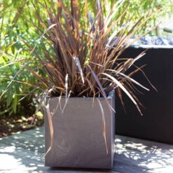 Pflanztrog 'Volcania Dado', Anthrazit, L 39,5 X B 39,5 X H 43,5 Cm -Die grüne Ecke 3230101084 Pflanztrog Volcania Dado anthrazit 39x39xH43cm 31Ltr6 75428