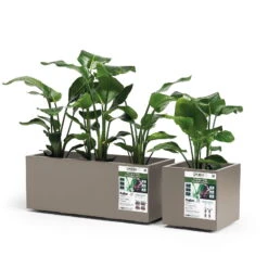 Pflanzkasten 'Kebe', Taupe, 35 Liter, 39,5 X 39,5 X 39,5 Cm -Die grüne Ecke 3230101147 3230101149 Kebe taupe 109325