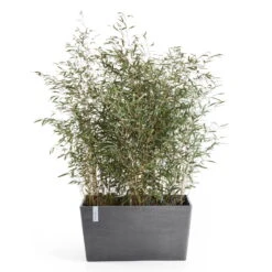 Pflanzkasten 'Paris', Grau, L 60 X B 26 X H 40 Cm -Die grüne Ecke 3230101236 pflanzkasten paris 2 117480