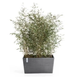 Pflanzkasten 'Paris', Grau -Die grüne Ecke 3230101237 pflanzkasten paris 2 117482