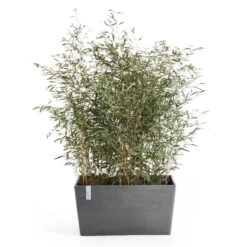 Pflanzkasten 'Paris', Grau -Die grüne Ecke 3230101238 pflanzkasten paris 2 117484