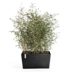 Pflanzkasten 'Paris', Dunkelgrau, L 60 X B 26 X H 40 Cm -Die grüne Ecke 3230101239 pflanzkasten paris 2 117486