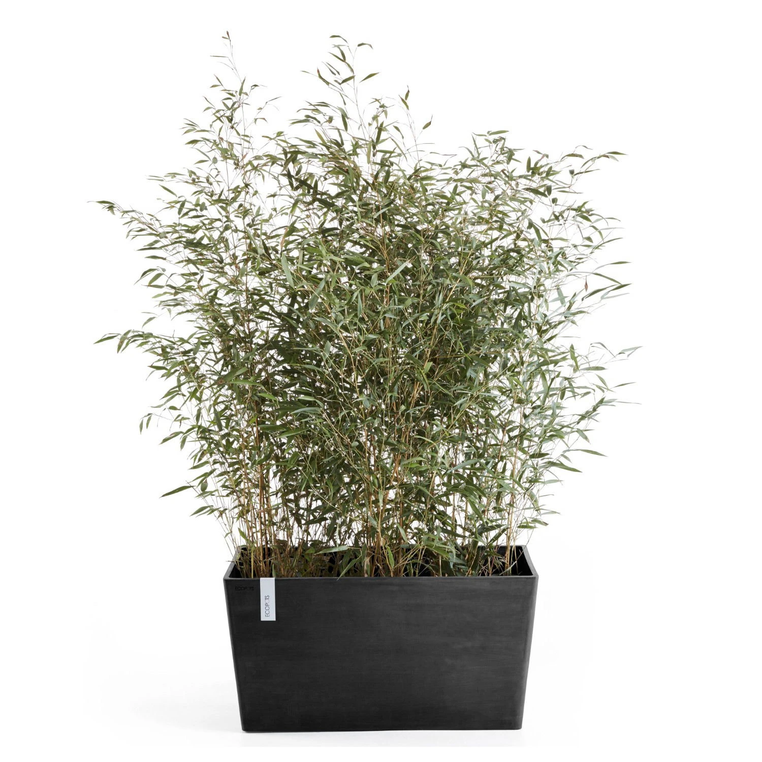 Pflanzkasten 'Paris', Dunkelgrau 4 Pflanzkasten 'Paris', Dunkelgrau – Bild 2